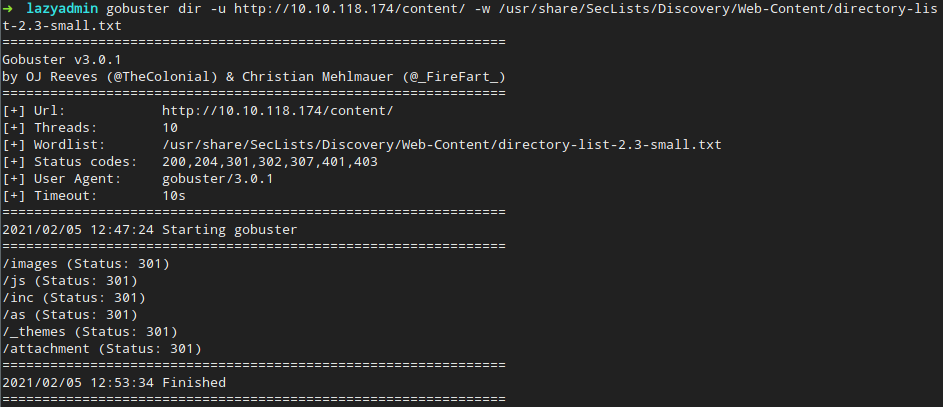 Gobuster second pass