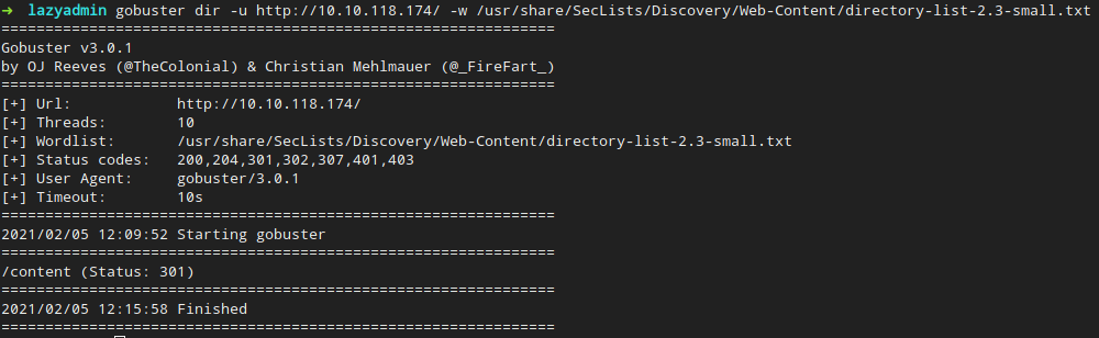 Gobuster output